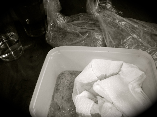 To brødposer og èn isboks. Tipper det er rundt 3 liter. Min hverdag, mine damer og herrer!